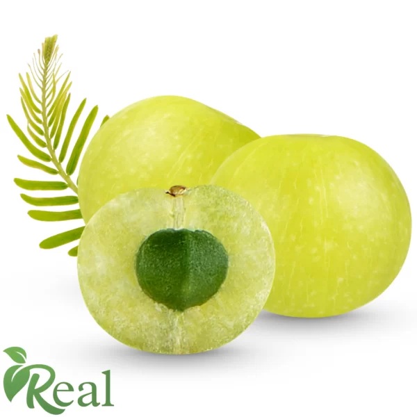 Real Amla9 scaled