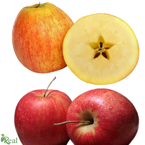 Real Apple 32 scaled