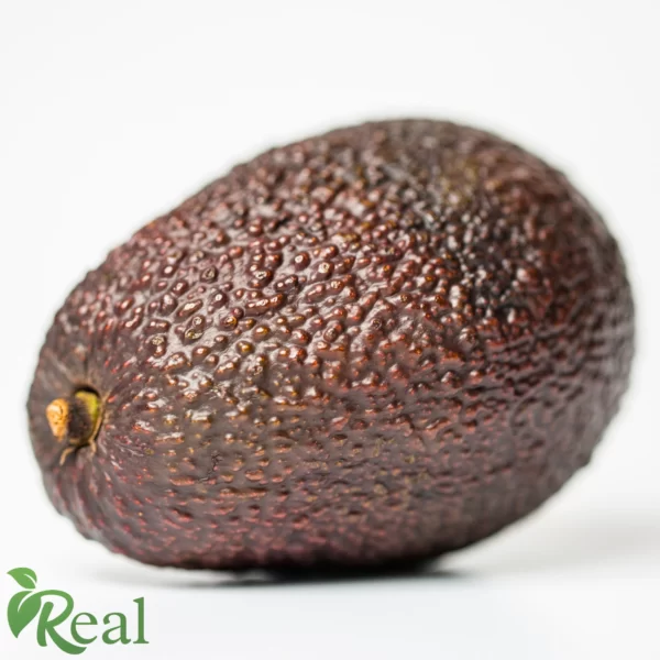 Real Avocado 20 scaled