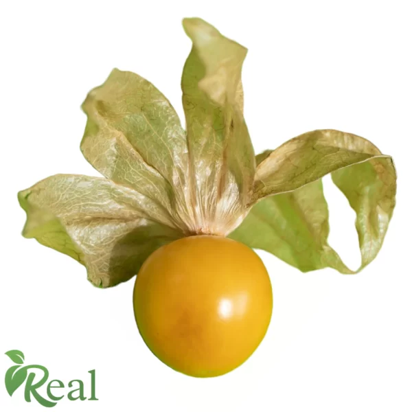 Real Gooseberry6