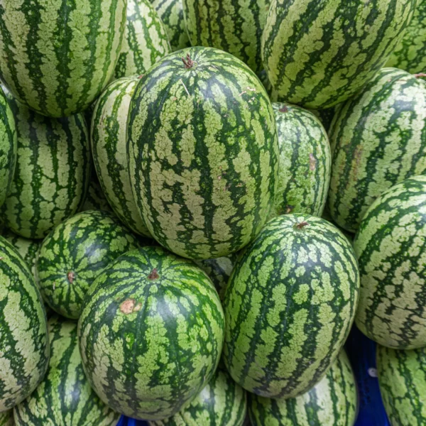 Real Watermelon 12 scaled