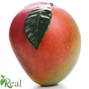 Real Mango, Premium Real Mango, Original Mango Real Grocery, 100% Natural Real Mango