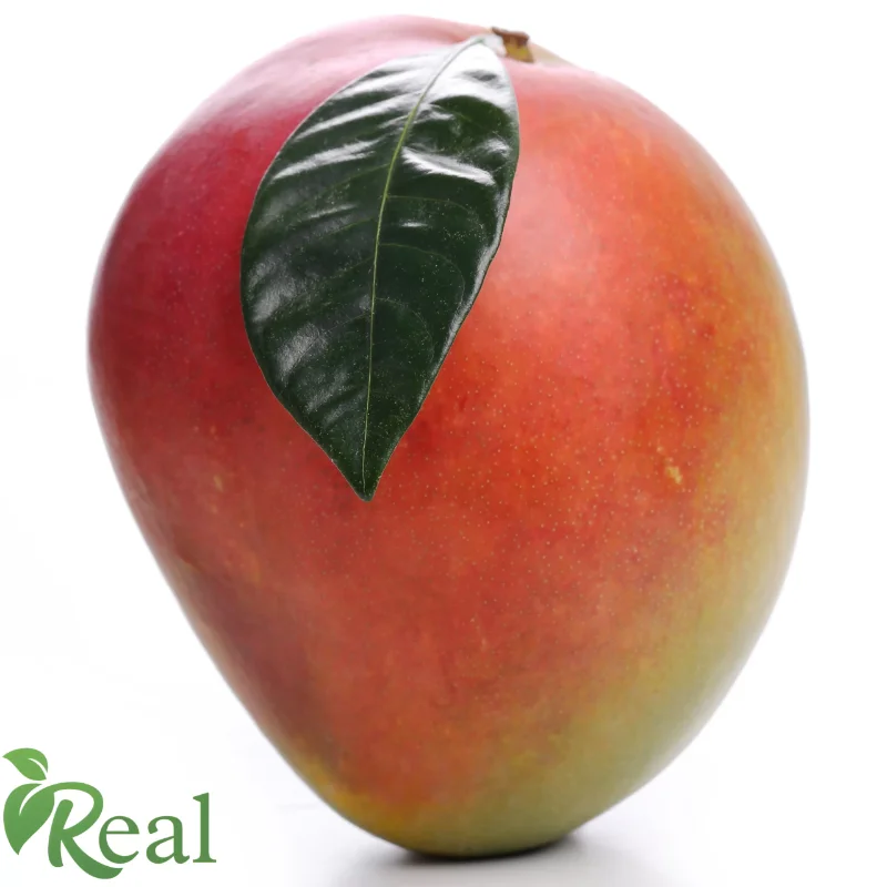 Real Mango, Premium Real Mango, Original Mango Real Grocery, 100% Natural Real Mango