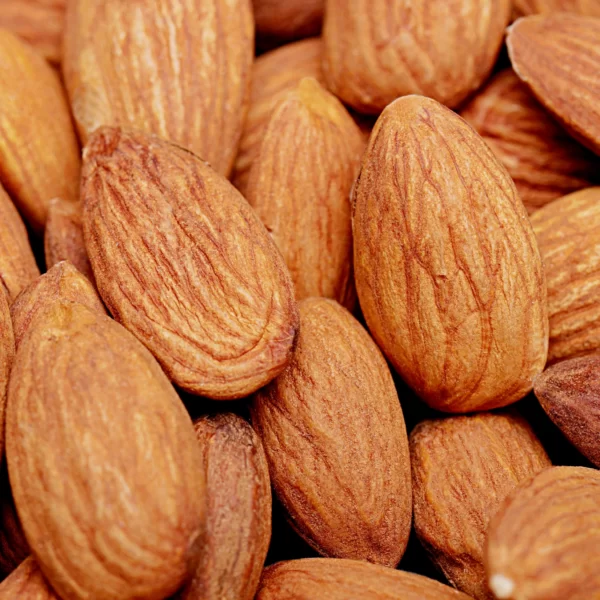 Real Almond15 scaled