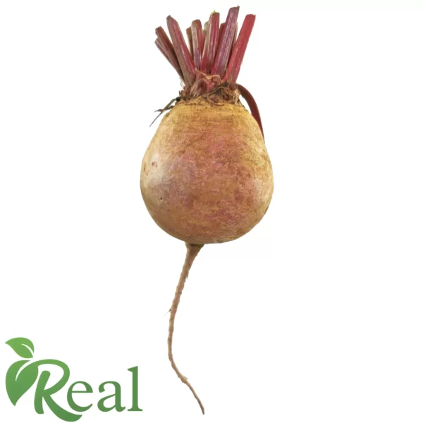 Real Beetroot16 scaled