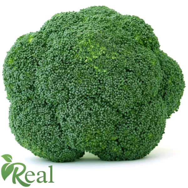 Real Broccoli16 scaled