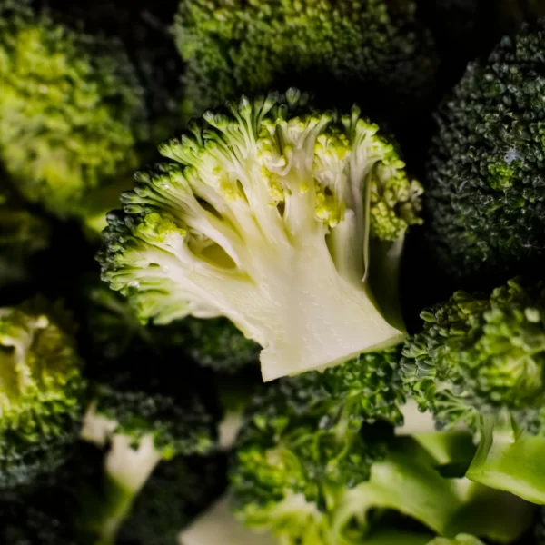 Real Broccoli20 scaled