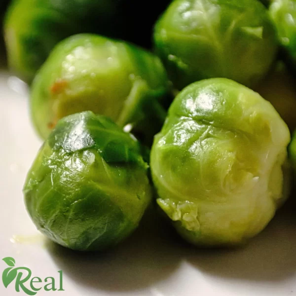 Real Brussels sprout14 scaled