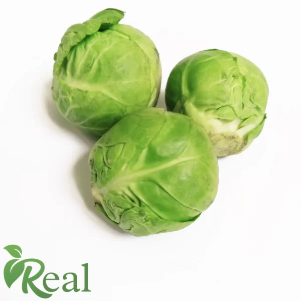 Real Brussels sprout16 scaled