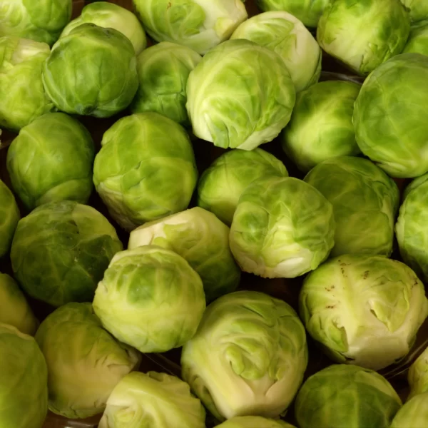 Real Brussels sprout19 scaled