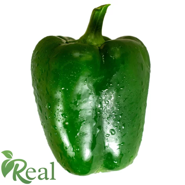 Real Capsicum 1 scaled