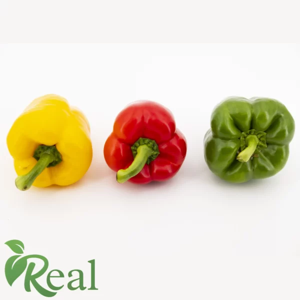 Real Capsicum11 scaled