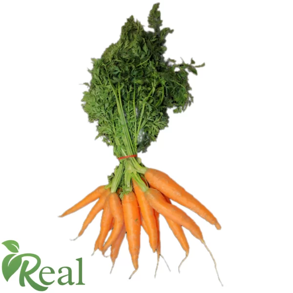 Real Carrot21 scaled