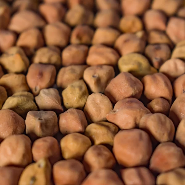 Real Chickpeas15 scaled