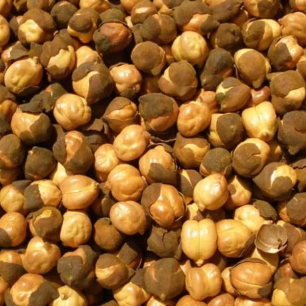 Real Chickpeas16