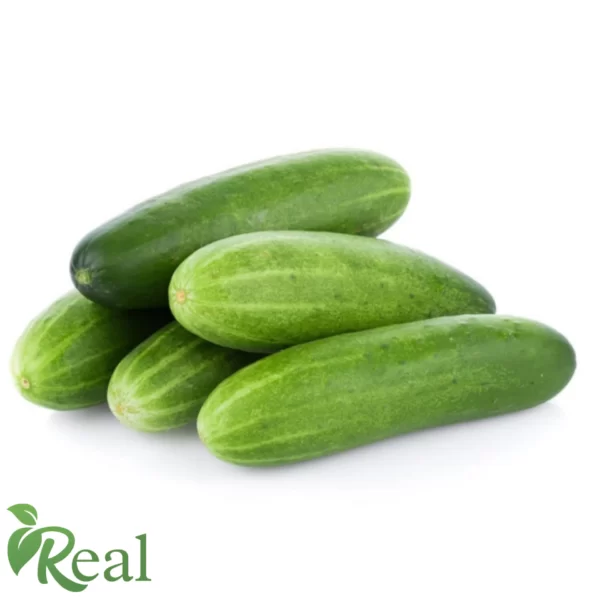 Real Cucumber10