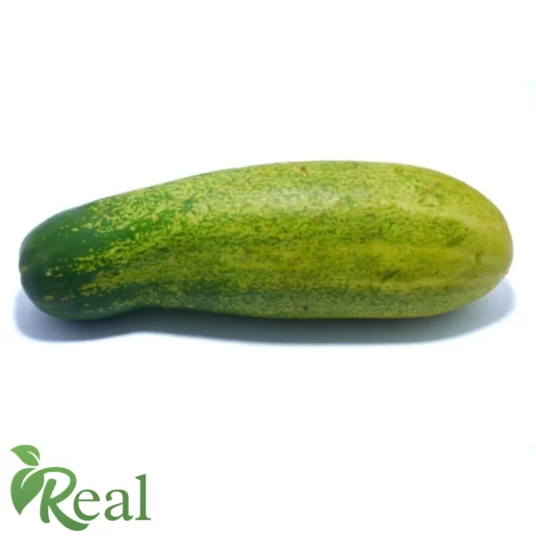 Real Cucumber11