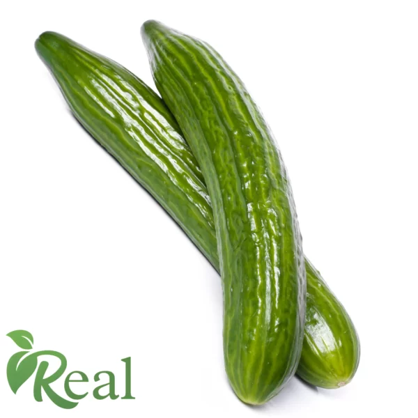 Real Cucumber13 scaled