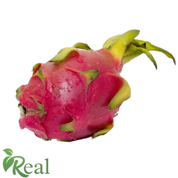 Real Dragon Fruit 1 scaled