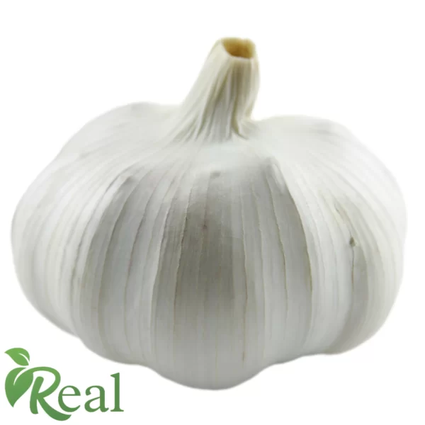 Real Garlic19