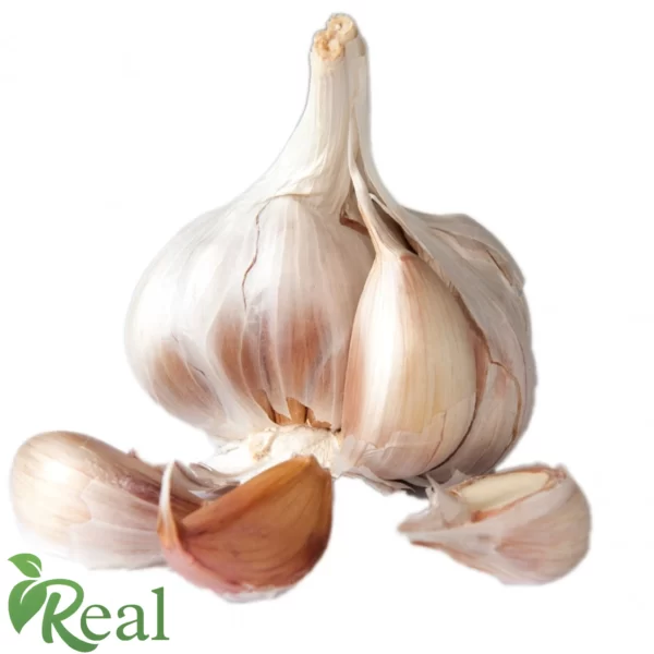 Real Garlic21 scaled