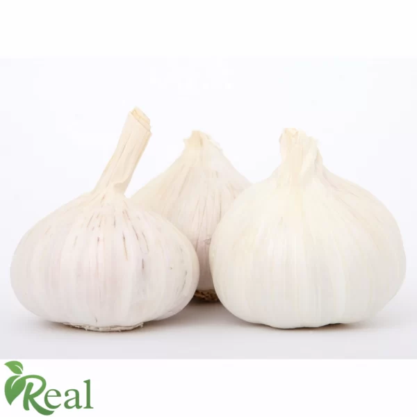 Real Garlic26 scaled