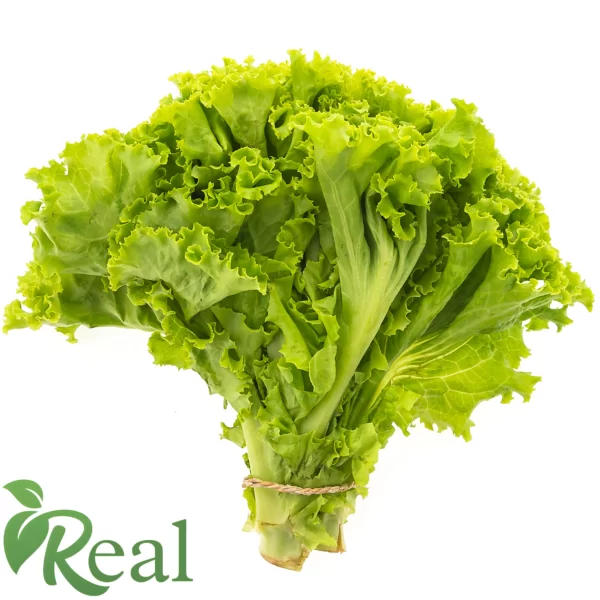 Real Kale11 scaled