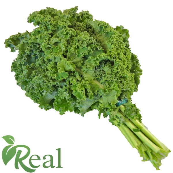 Real Kale12 scaled