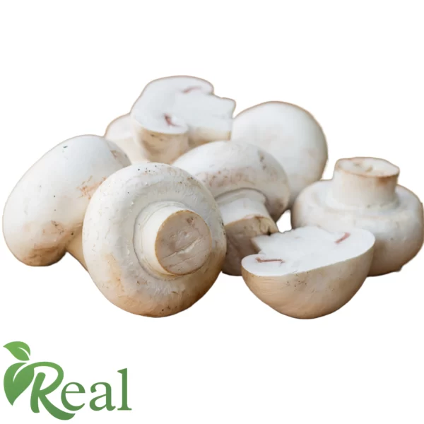 Real Mushroom 20 scaled