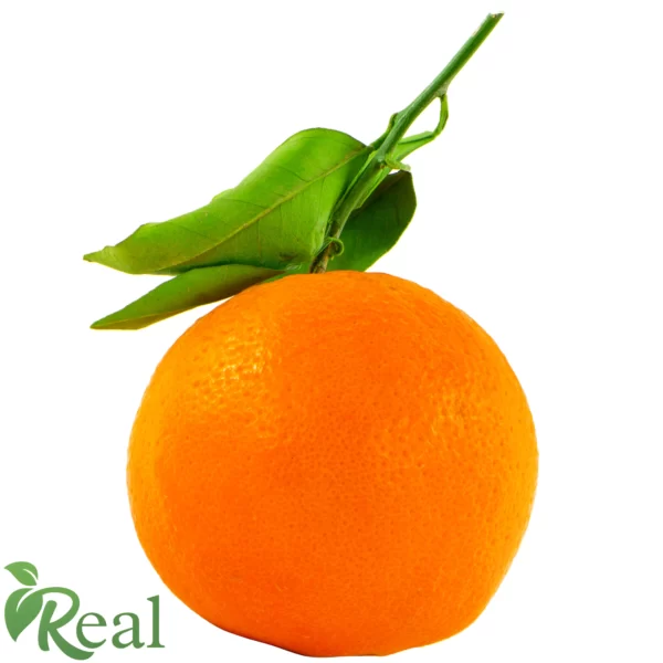 Real Orange 22 scaled