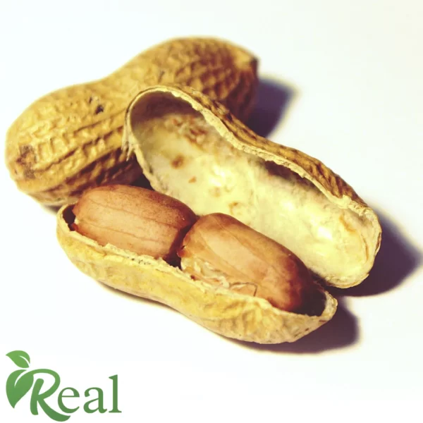 Real Peanut 18 scaled