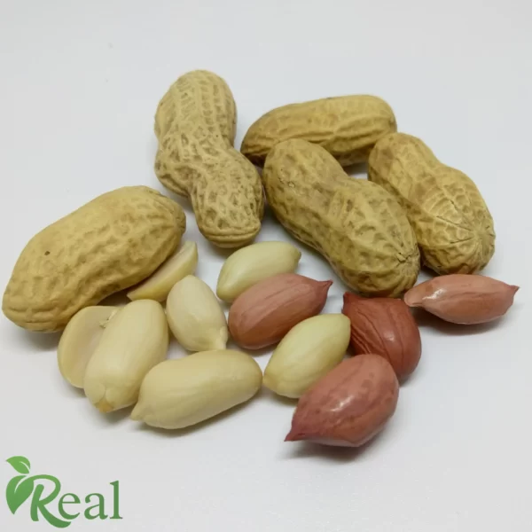 Real Peanut 22 scaled