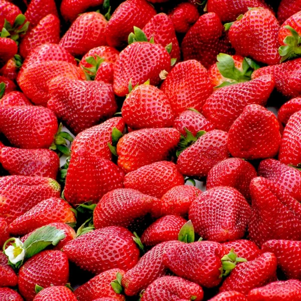 Real Strawberry17 scaled