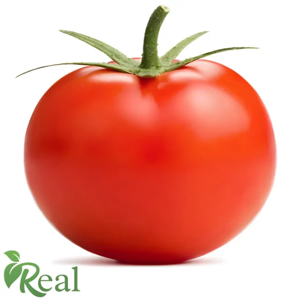 Real Tomato 17