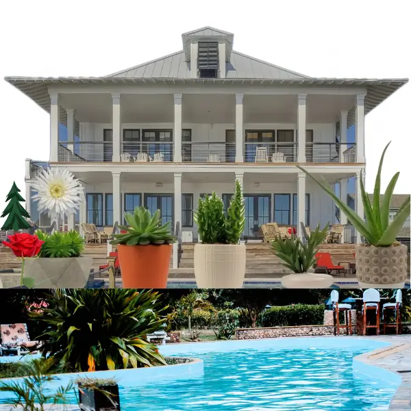 Home Needs